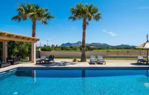 a swimming pool with chairs and palm trees at Catalina in Alcudia
