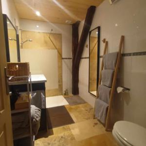 a bathroom with a shower and a sink and a toilet at La Lumière Dorée in Lauzerte +46 photos