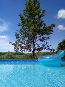 a blue raft in a pool with a tree at La Lumière Dorée in Lauzerte