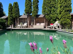 a swimming pool in front of a house with trees at Weißt Du noch - Gästehäuser & Suiten in Kühlungsborn