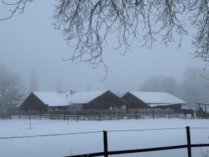 a group of barns with snow on them at Ferienwohnung in Adelheidsdorf