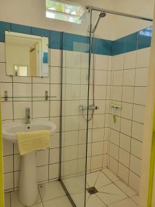 a bathroom with a shower and a sink at Gîte Zandoli Koko in Sainte-Anne +91 photos