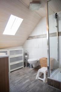 a bathroom with a shower and a toilet and a sink at Ferienhaus zum Brauneberg in Klotten +35 photos