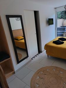 a bedroom with a mirror and a bed in it at Gites de Lenny in Valréas