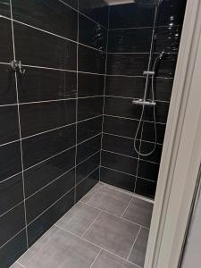 a bathroom with a shower with black tiles at Gites de Lenny in Valréas