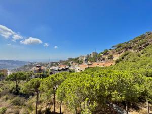 a village on a hill with trees and houses at Deluxe Loft at Monteverde in Beit Meri