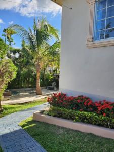 a palm tree next to a white building with red flowers at Palm Breeze Villa in Green Island