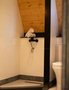 a bathroom with a toilet and a towel on a shelf at MOSES HOUSE-მოსეს სახლი in Baladzeyebi +53 photos