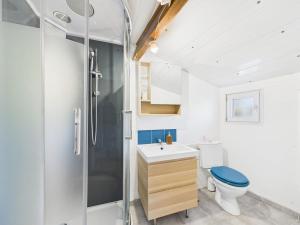 a bathroom with a shower and a toilet and a sink at Le Petit Cocon de Ambre in Saint-Paul
