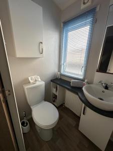 a bathroom with a toilet and a sink at Dolphin View in Llanddwywe +25 photos