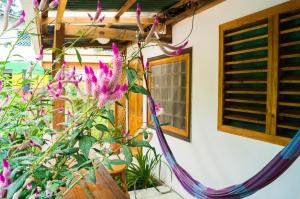 una planta con flores púrpuras al lado de un edificio en Hostal Cecilia, en Puerto Viejo