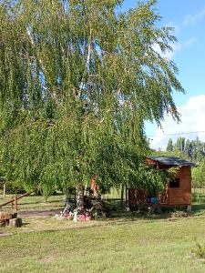 a wooden cabin with a tree in a field at Domo familiar in Chillán