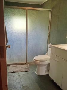a bathroom with a shower with a toilet and a sink at Domo familiar in Chillán