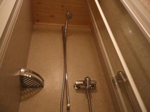 a shower in a bathroom with a shower at Ski- und Berghaus Obergmeind in Tschappina