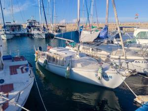 a group of boats docked in a harbor at Jack Sparrow in Puerto de Gandía