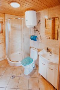 a bathroom with a toilet and a shower and a sink at Domki Heaven Ustronie Morskie in Ustronie Morskie +56 photos
