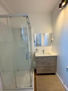 a bathroom with a shower and a sink at Pause détente proche du Zénith & Atlantis in Saint-Herblain