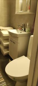 a bathroom with a white toilet and a sink at Kerrostalomajoitus in Riihimäki
