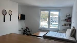 a living room with a couch and a window at Apartment Bjelašnica 8 - Garage parking included in Sarajevo