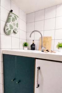 a kitchen with a green door under a sink at Studio en campagne in Retournac