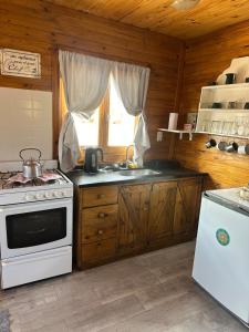 a kitchen with a stove and a sink and a window at Mini Inca Roca in Uspallata