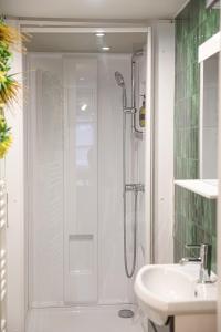a bathroom with a shower and a sink at Le Studio Vert in La Flèche +34 photos