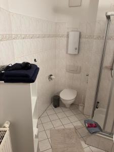a small bathroom with a toilet and a shower at Macabu Apartment Porto in Plauen +27 photos