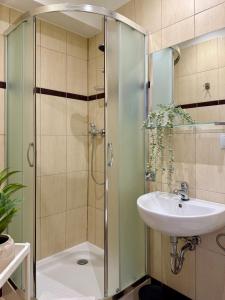 a bathroom with a shower and a sink at Expo Śniadeckich in Poznań