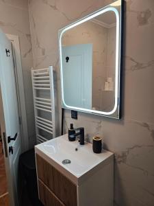 a bathroom sink with a large mirror above it at Urusagului flat in Floreşti