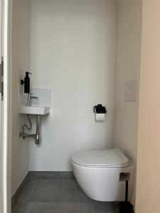 a white bathroom with a toilet and a sink at FDS Luxe House in Ghent