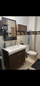 a bathroom with a sink and a toilet at Tautiului 222 apartment in Floreşti