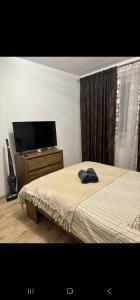 a bedroom with a bed and a flat screen tv at Tautiului 222 apartment in Floreşti