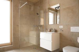 a bathroom with a shower and a toilet and a sink at Haus Gerti in Ramsau am Dachstein +45 photos