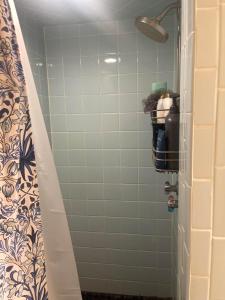 a bathroom with a shower with green tiles at Brush Hill Lakehouse in Checotah +8 photos