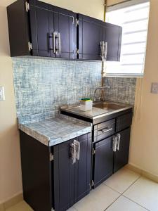 a kitchen with navy blue cabinets and a sink at Villa Platino Doble in Pachuca de Soto