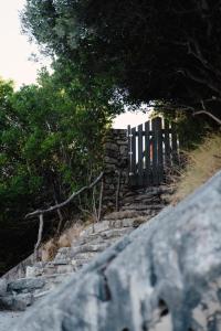 a wooden gate on a stone stairs with trees at Yioka House in Mikros Gialos
