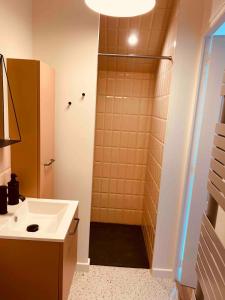 a bathroom with a shower and a sink at Duplex house with small terrace in Bayeux +15 photos