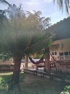 a couple of hammocks and a palm tree in front of a building at Pousada Nosso Recanto Camocim in Camocim +10 photos