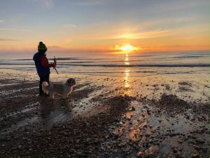 a person walking a dog on the beach at sunset at Sandringham Hotel - Seafront, Sandown, Isle of Wight - FREE CAR FERRY TICKET for 3 Nts, 1-2 Nts from 109 Pounds in Sandown
