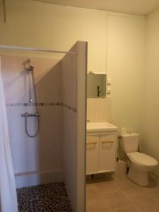 a bathroom with a shower and a toilet and a sink at Au calme, 2 grandes chambres, 65m2 , devant le canal, animaux ok in Lere +13 photos