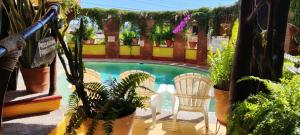 a pool with chairs and plants in a yard at Hotel La Cabaña in Puerto Ángel