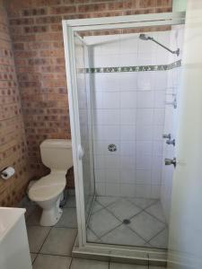 a bathroom with a toilet and a glass shower at Tiaro Motor Inn in Tiaro