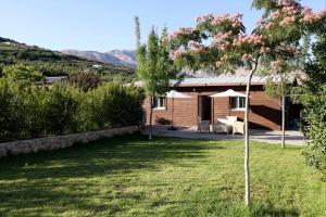 a house with a tree in the yard at להנות מהטבע שמס in Majdal Shams