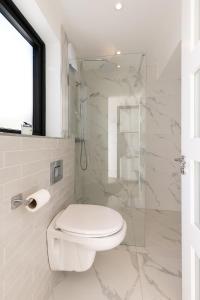 a bathroom with a toilet and a glass shower at Howth Village Cottage in Howth +7 photos