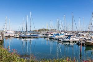 a bunch of boats docked in a marina at Howth Village Cottage in Howth