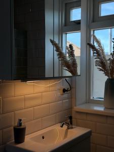 a bathroom with a sink and a mirror and a window at B&B D'n Optie in Druten