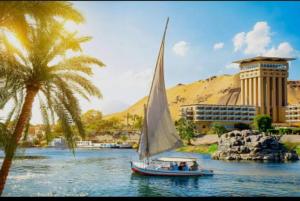 a small sail boat in a river with a palm tree at Nubian oasis hotel in Aswan