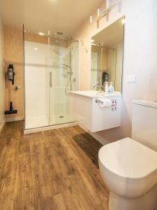a bathroom with a toilet and a shower at Studio C with all you need in Wanaka +17 photos