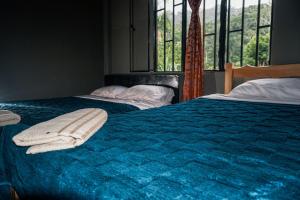 a bedroom with two beds with blue sheets and a window at Casa de Astilla in Mocoa +29 photos