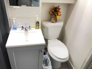a small bathroom with a toilet and a sink at Stay St Paul Haven in West Saint Paul +13 photos